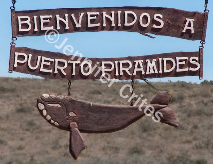 Welcome to Puerto Piramides